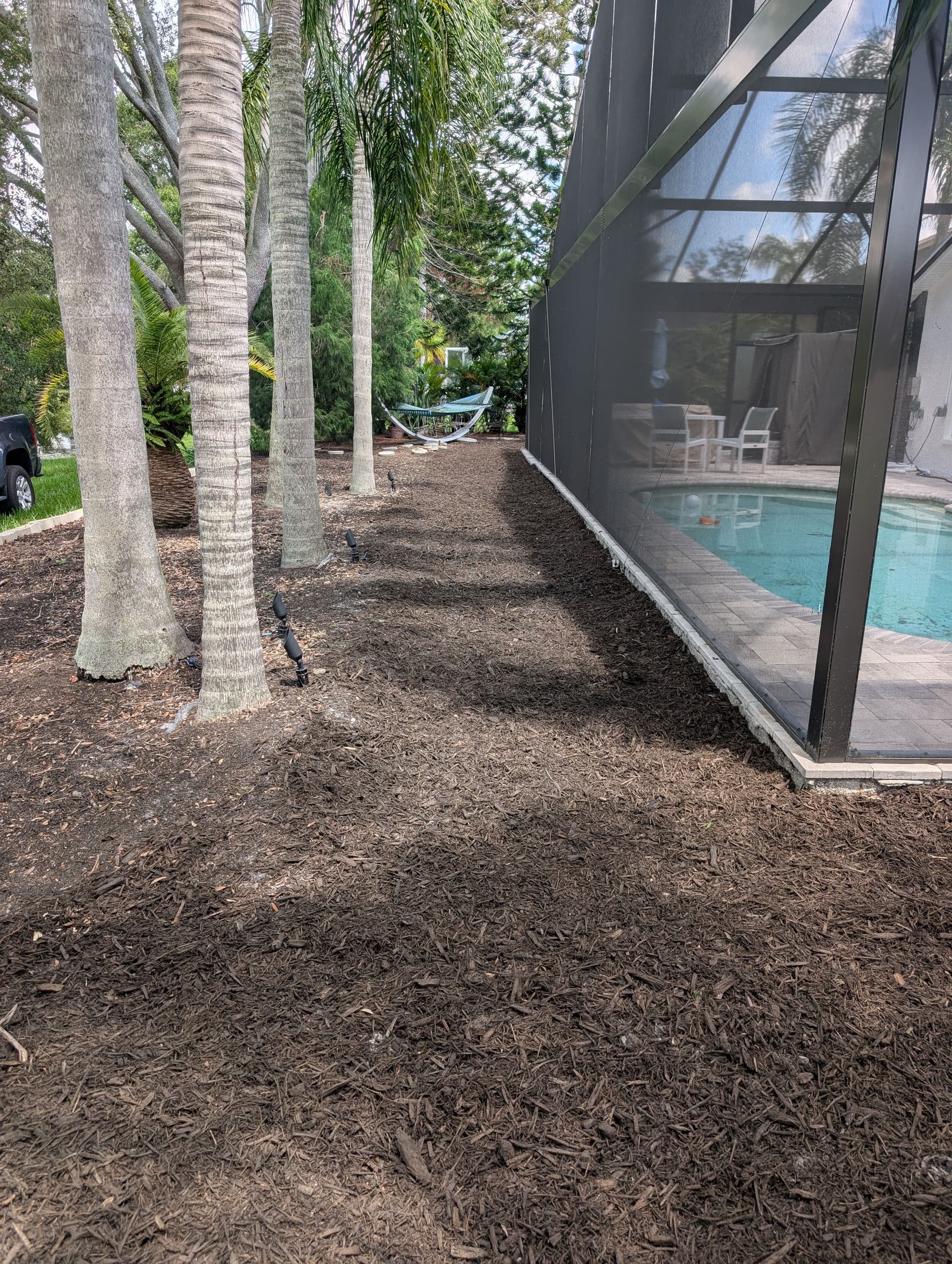 Gallery photos for Backyard Cleanup and Fresh Mulch for a Westchase Repeat Customer: Image #4