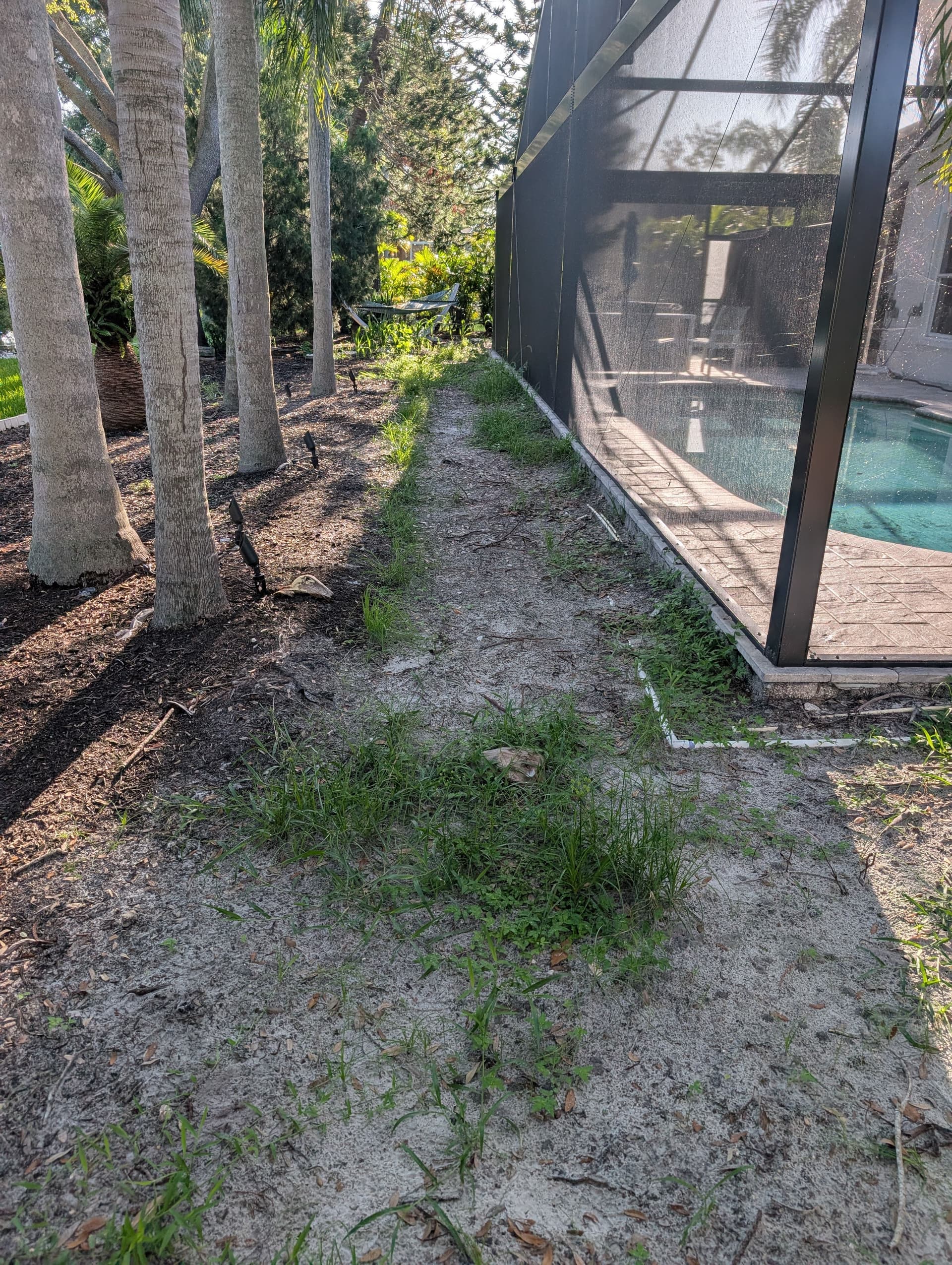 Gallery photos for Backyard Cleanup and Fresh Mulch for a Westchase Repeat Customer: Image #1