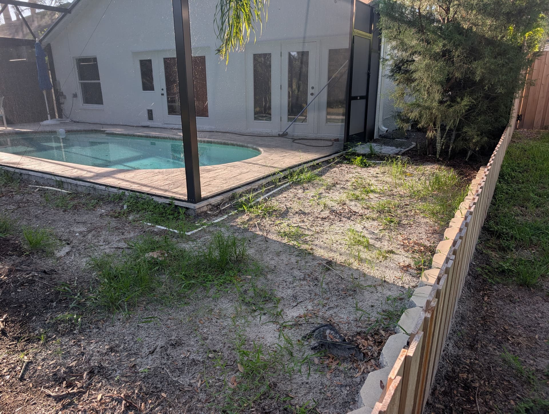 Backyard Cleanup and Fresh Mulch for a Westchase Repeat Customer image