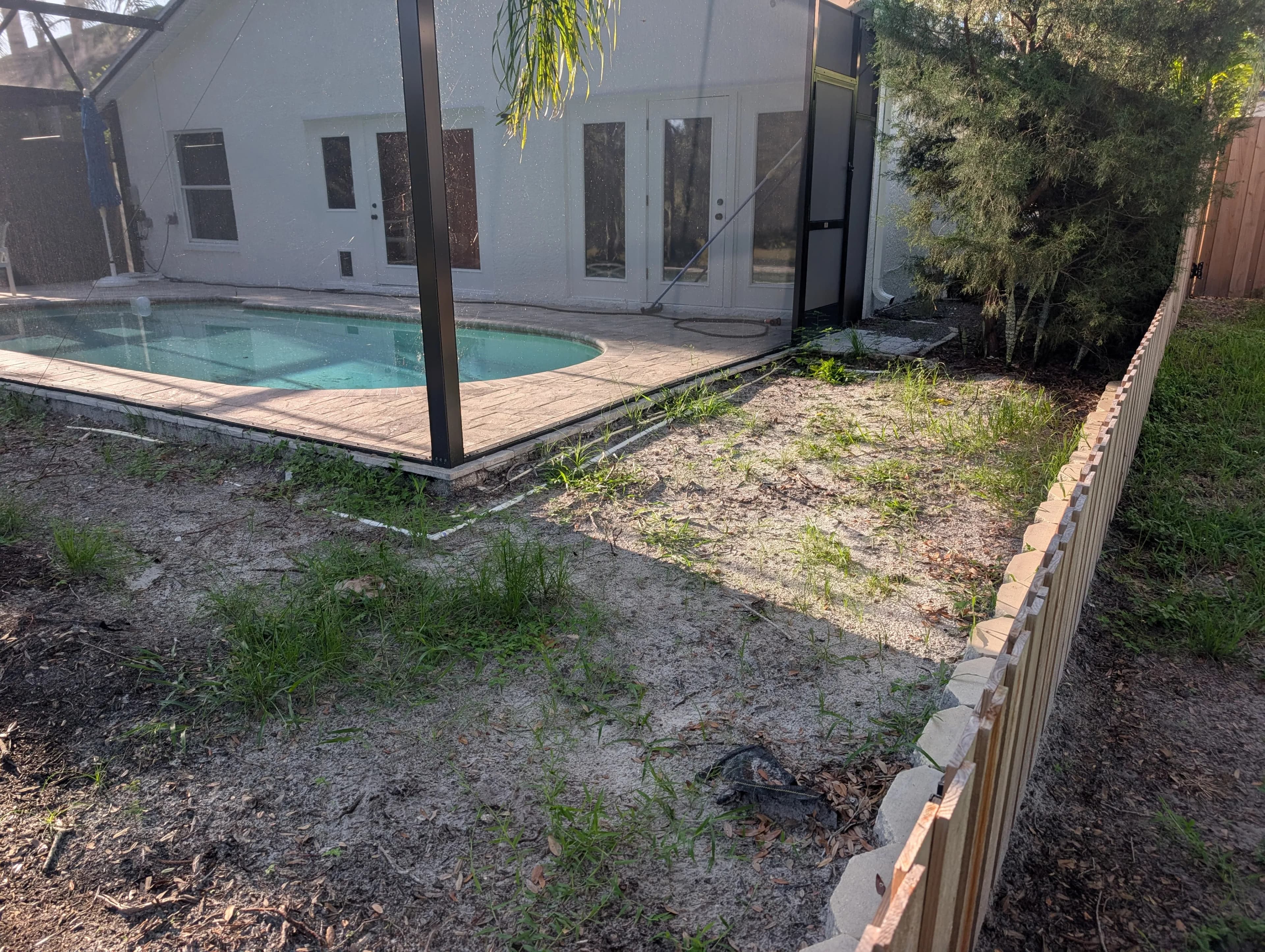Project Backyard Cleanup and Fresh Mulch for a Westchase Repeat Customer image