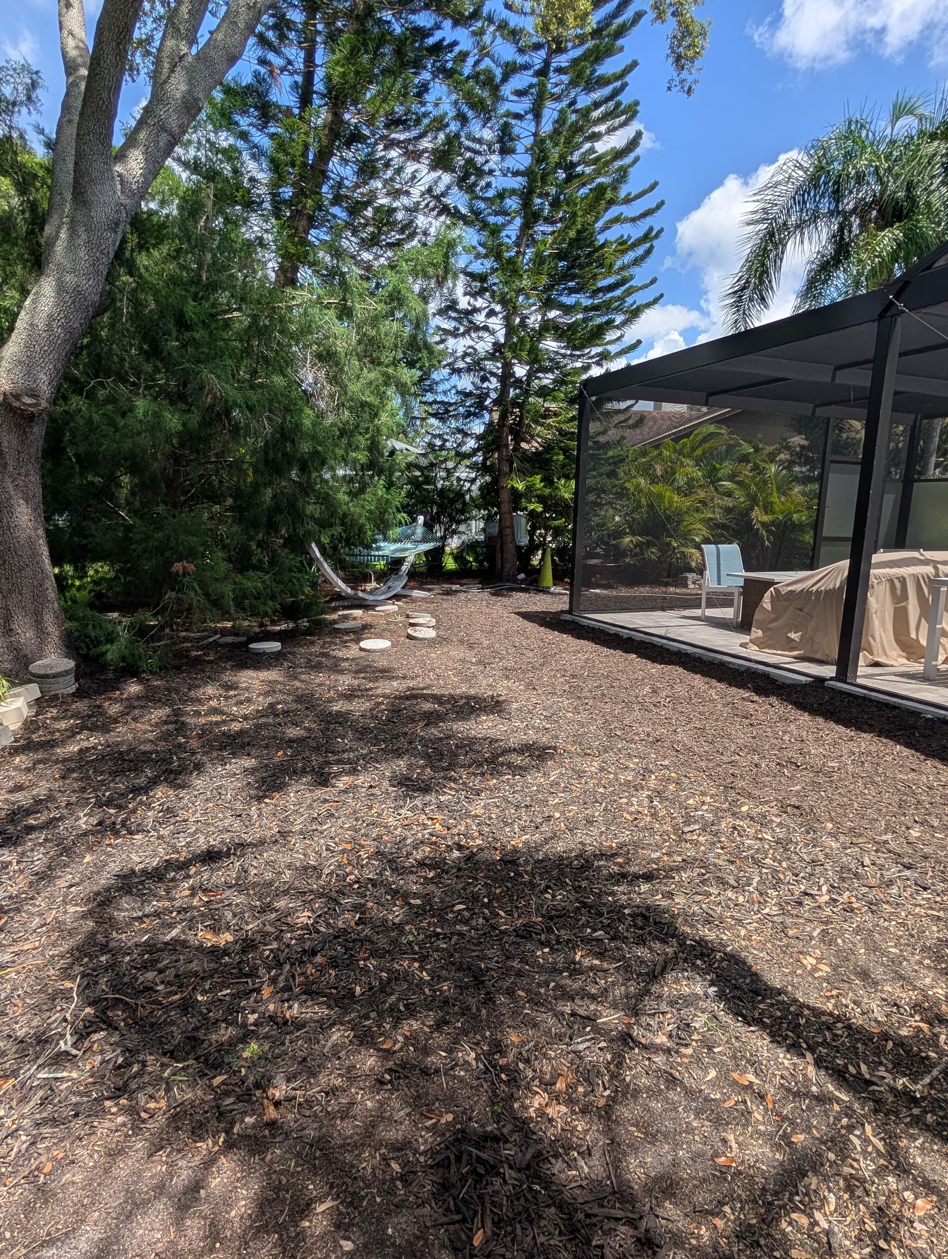 Gallery photos for Backyard Cleanup and Fresh Mulch for a Westchase Repeat Customer: Image #5