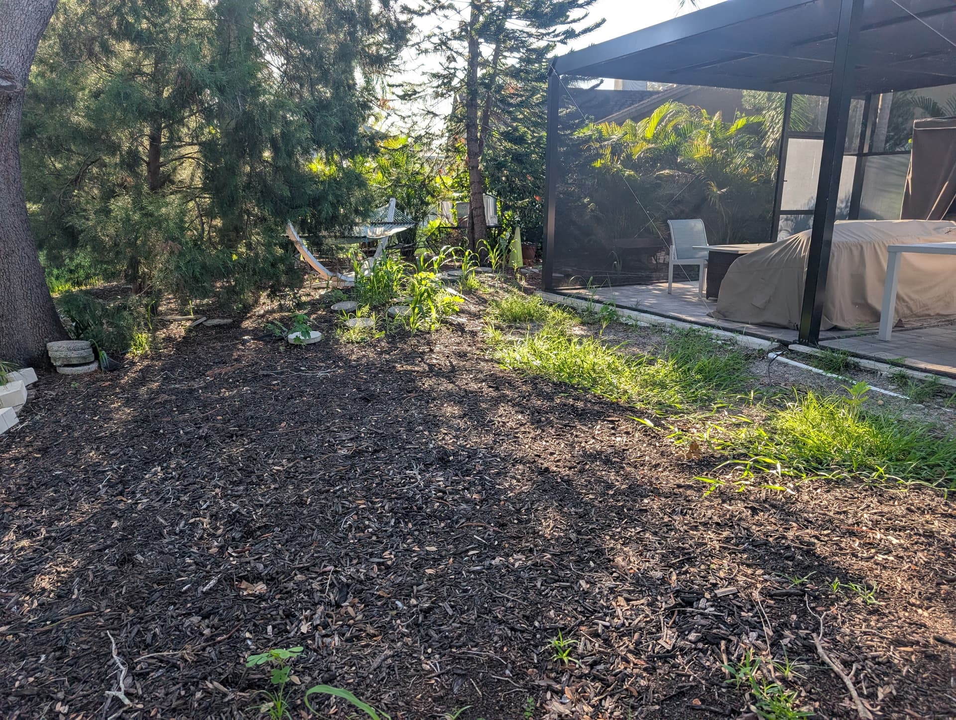Gallery photos for Backyard Cleanup and Fresh Mulch for a Westchase Repeat Customer: Image #2