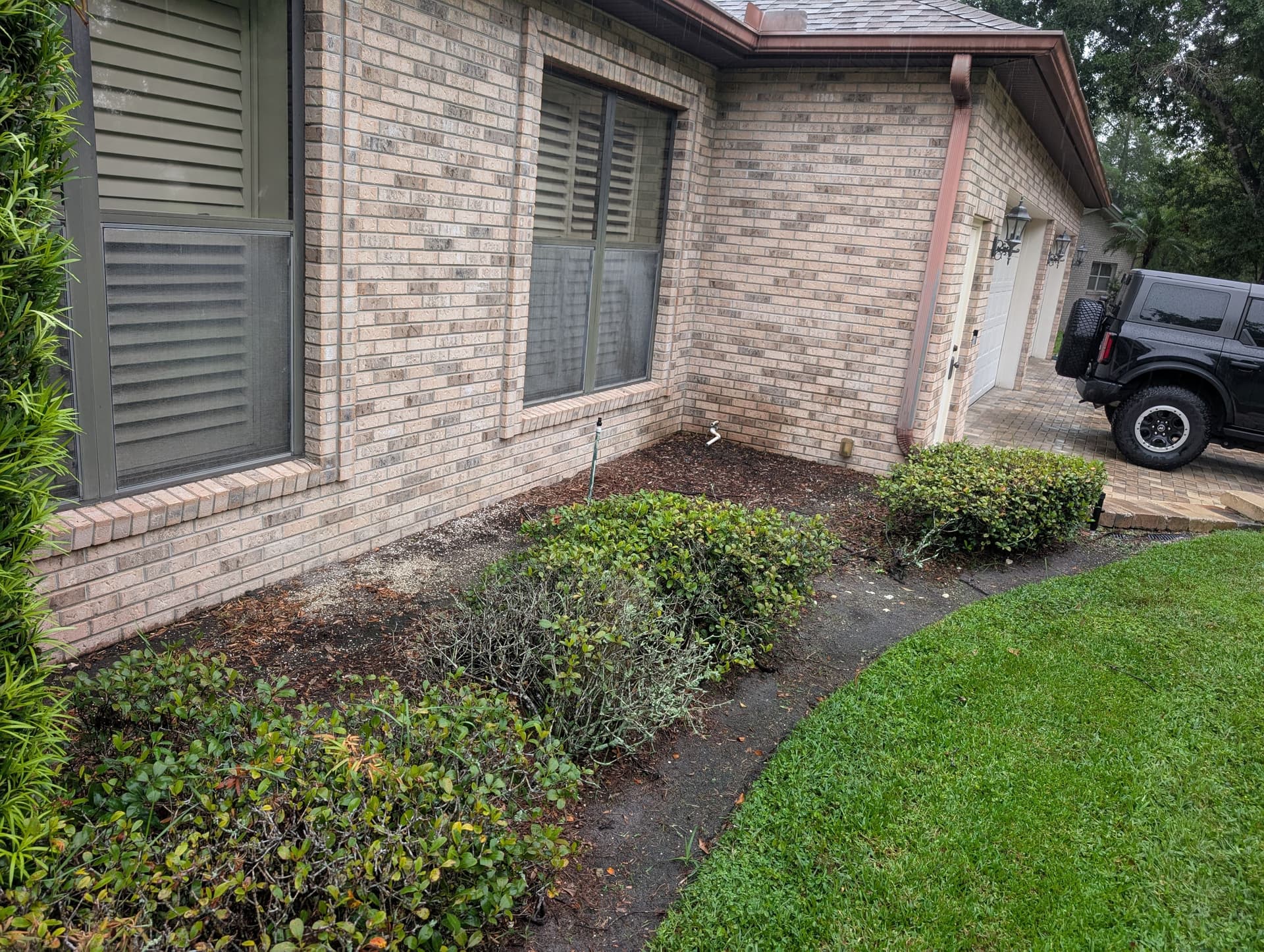 Gallery photos for Carrollwood Landscape Refresh Gets This Home Market-Ready: Image #6