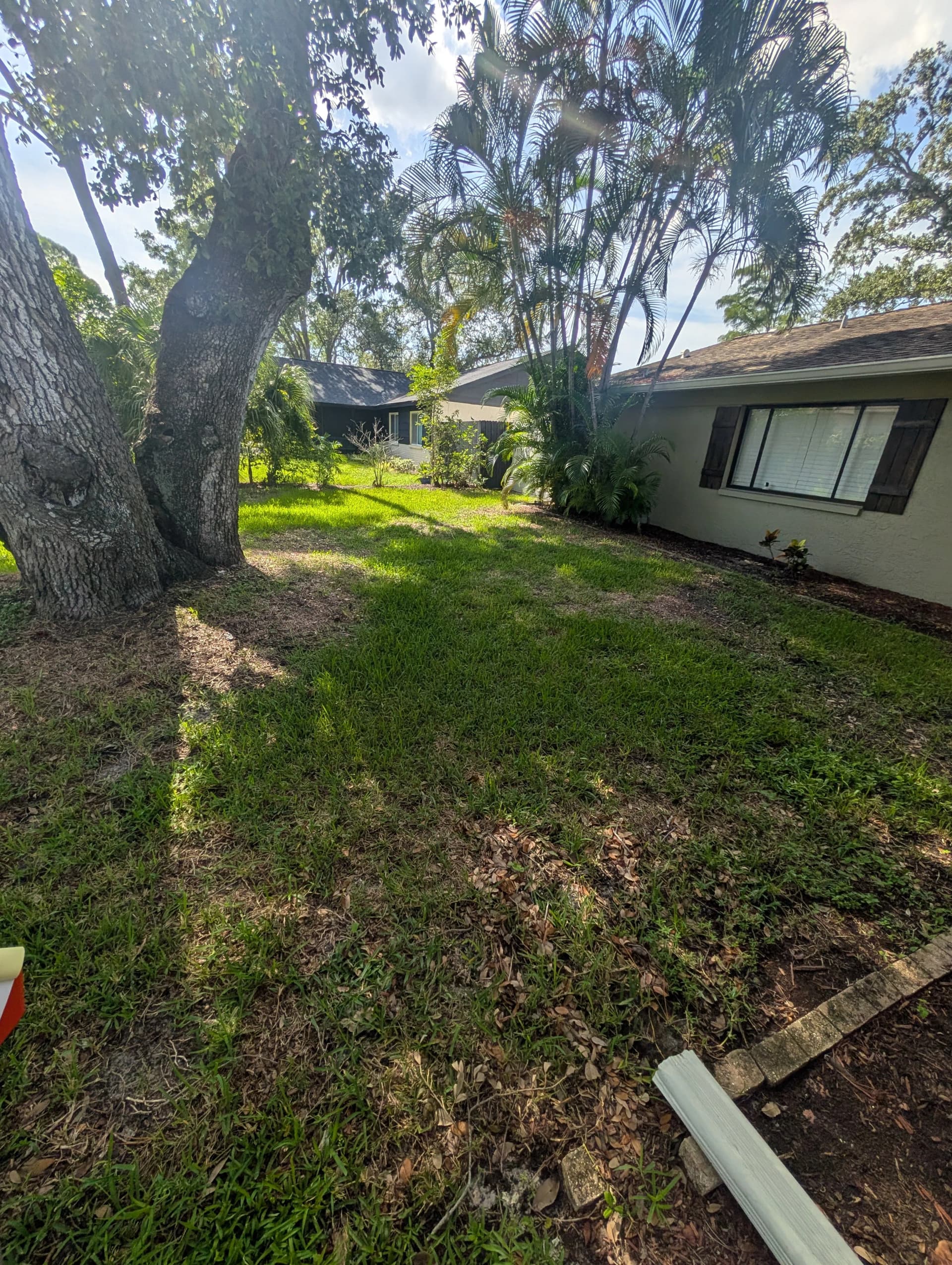 Gallery photos for Clearwater Front Yard Gets a Full Landscape Refresh: Image #2