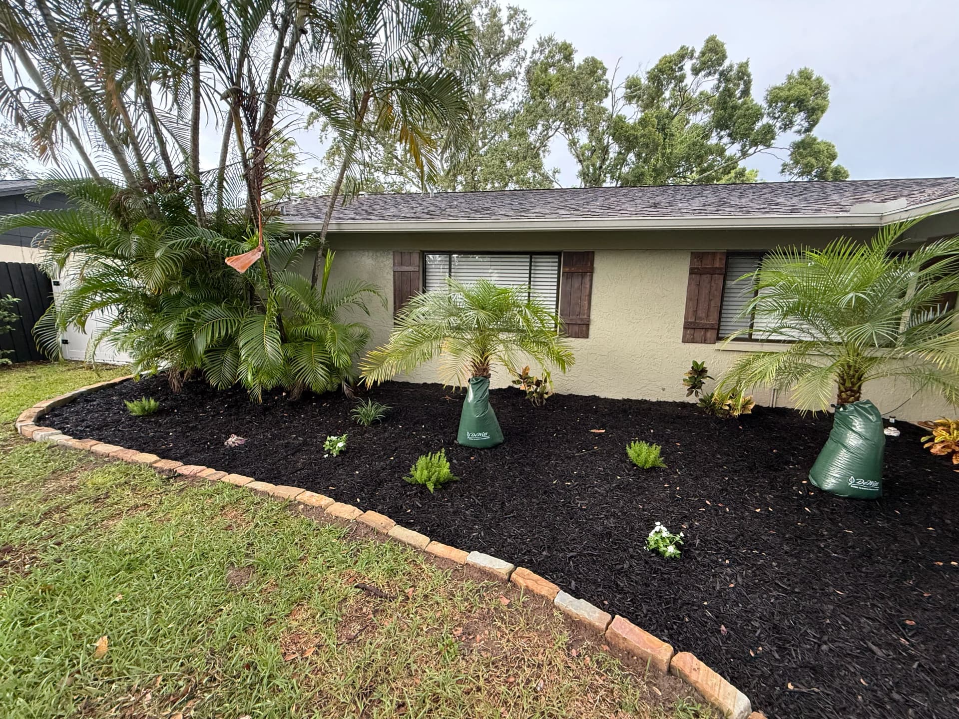 Gallery photos for Clearwater Front Yard Gets a Full Landscape Refresh: Image #9