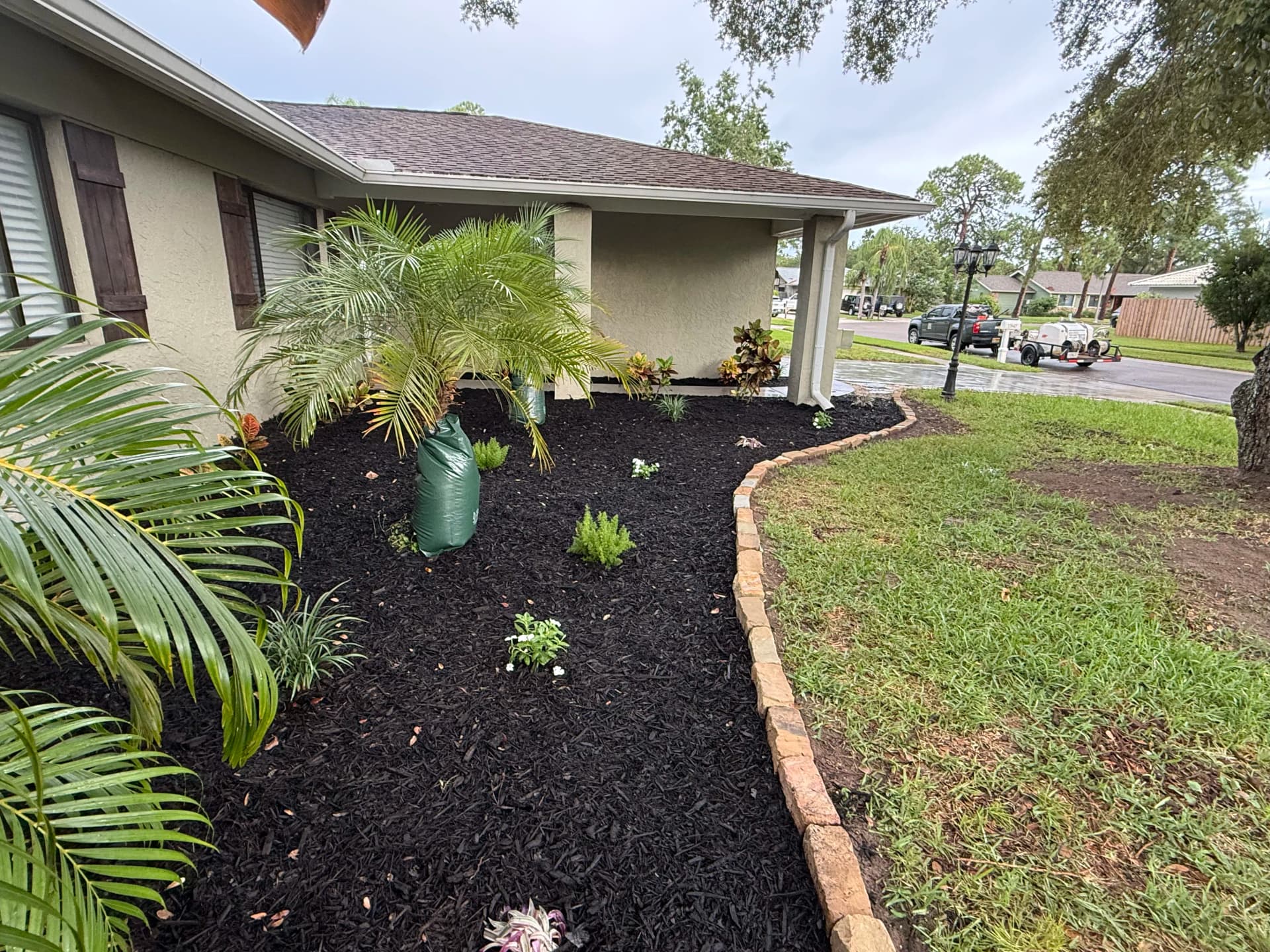 Gallery photos for Clearwater Front Yard Gets a Full Landscape Refresh: Image #5