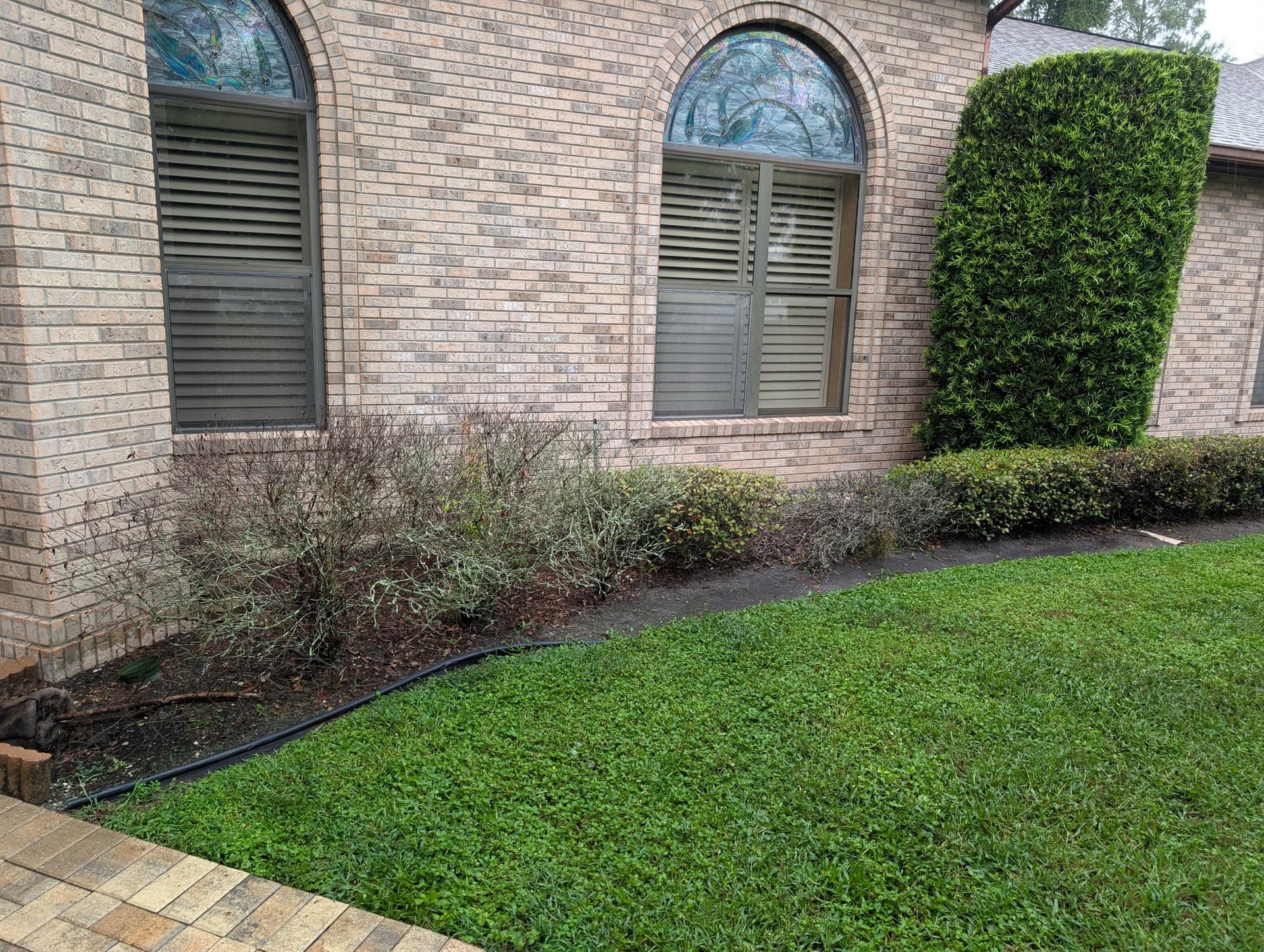 Gallery photos for Carrollwood Landscape Refresh Gets This Home Market-Ready: Image #4