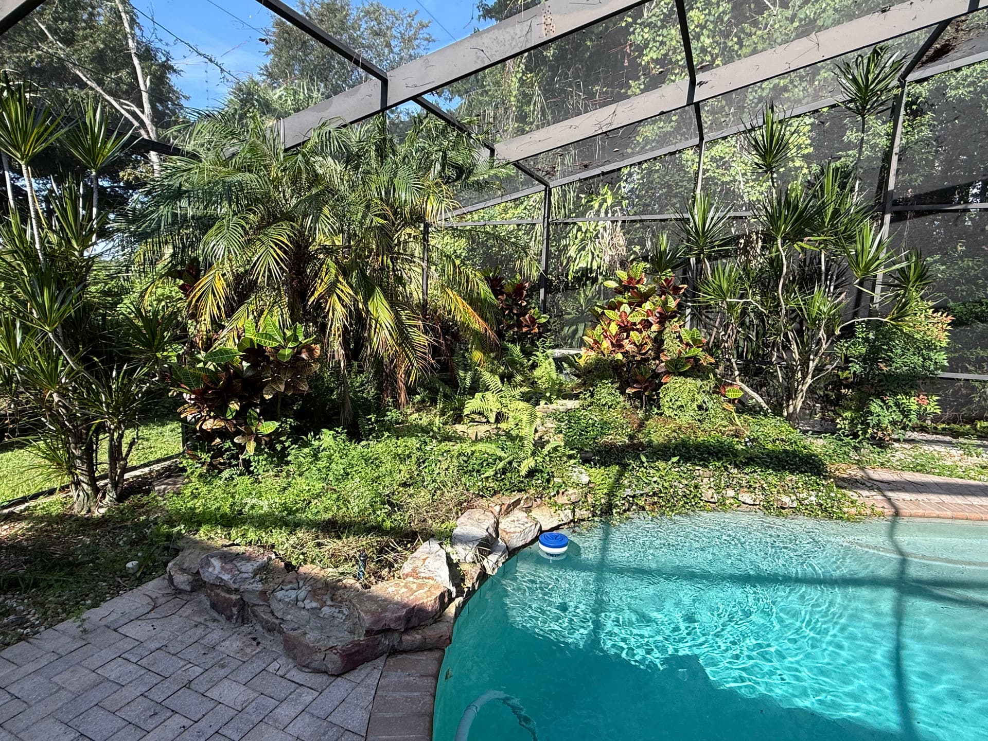 Carrollwood Landscape Refresh Gets This Home Market-Ready image
