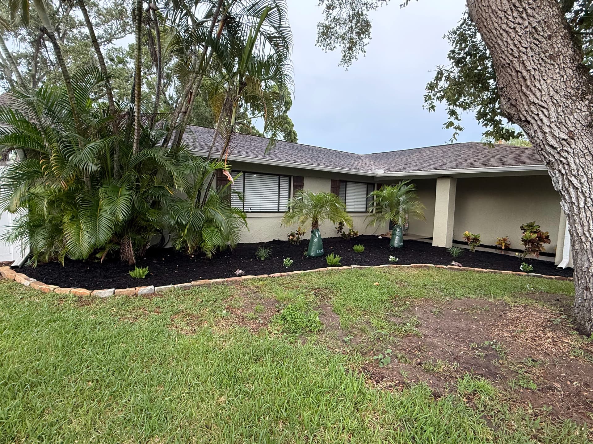 Gallery photos for Clearwater Front Yard Gets a Full Landscape Refresh: Image #1