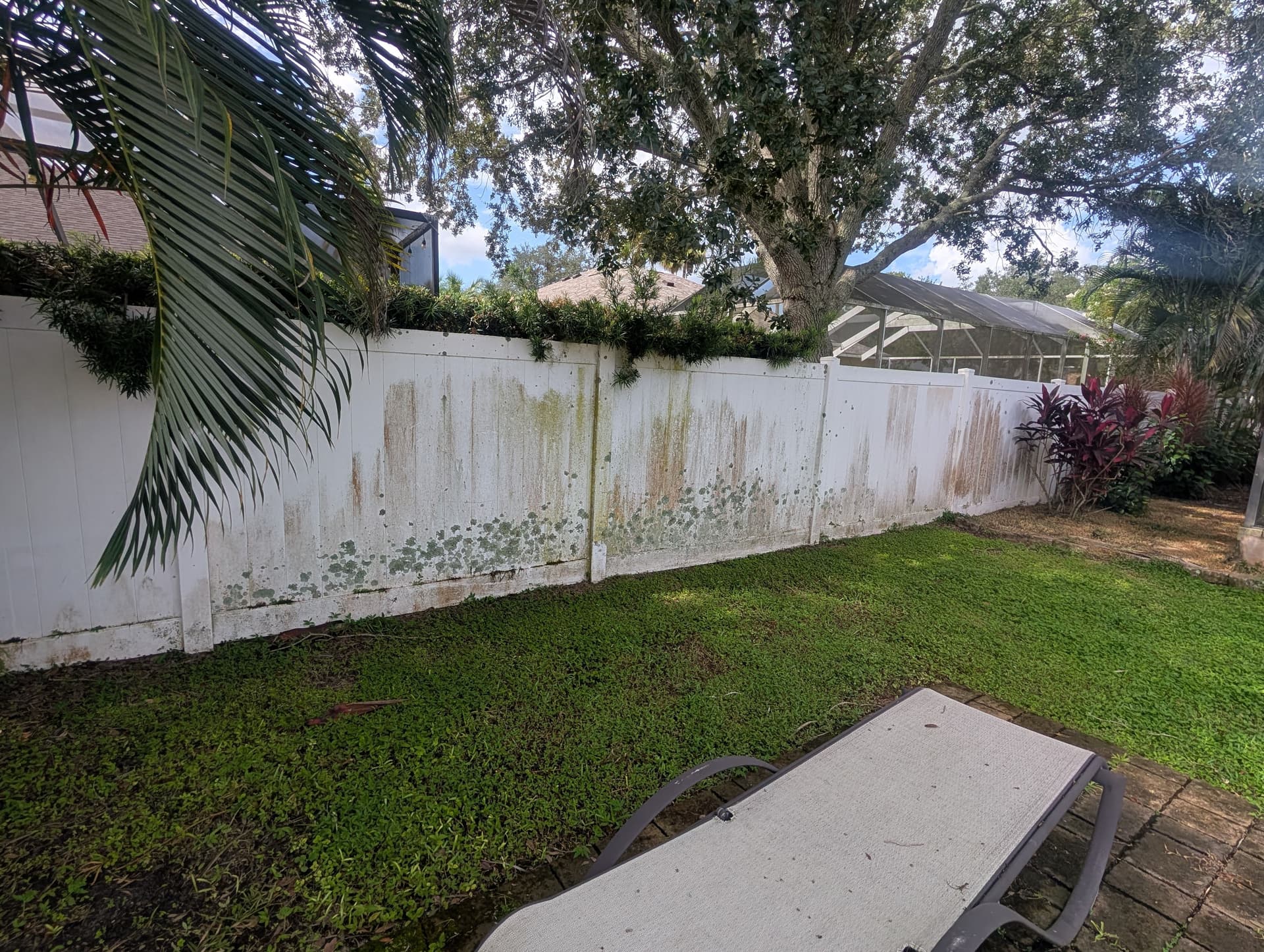 Vinyl Fence Cleaning That Actually Makes a Difference in Lutz image