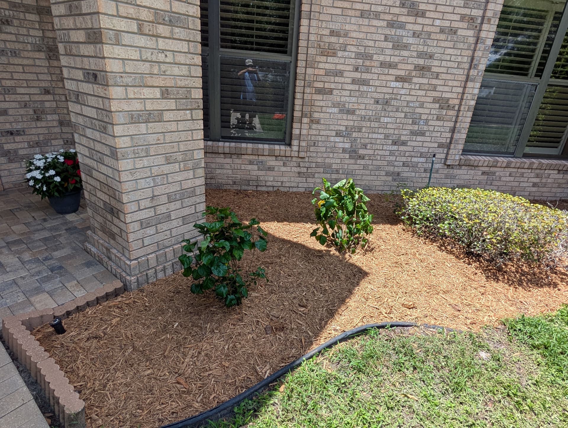 Gallery photos for Carrollwood Landscape Refresh Gets This Home Market-Ready: Image #5