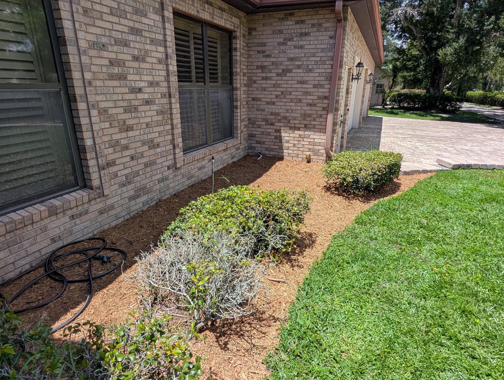 Gallery photos for Carrollwood Landscape Refresh Gets This Home Market-Ready: Image #7
