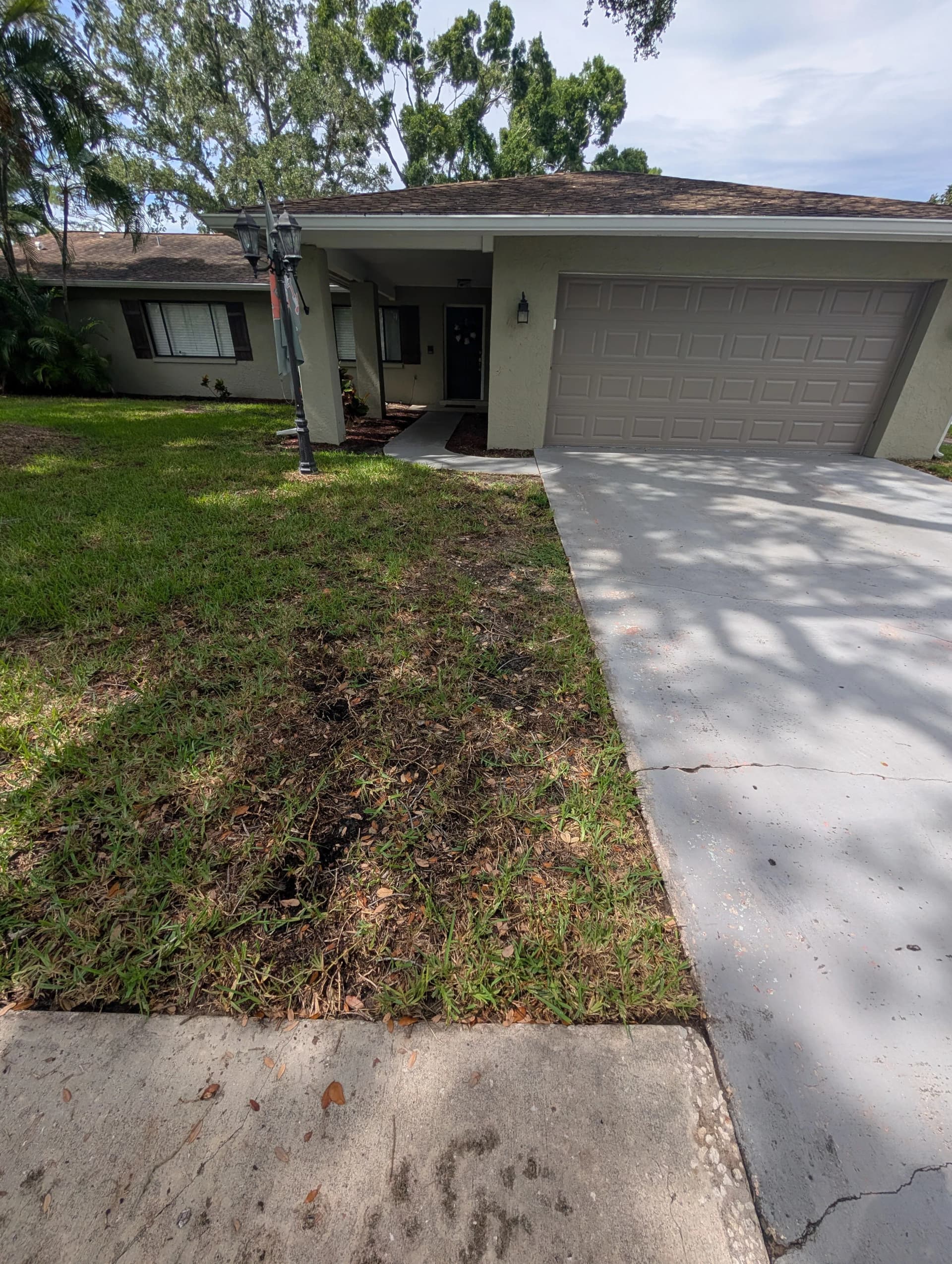Gallery photos for Clearwater Front Yard Gets a Full Landscape Refresh: Image #6