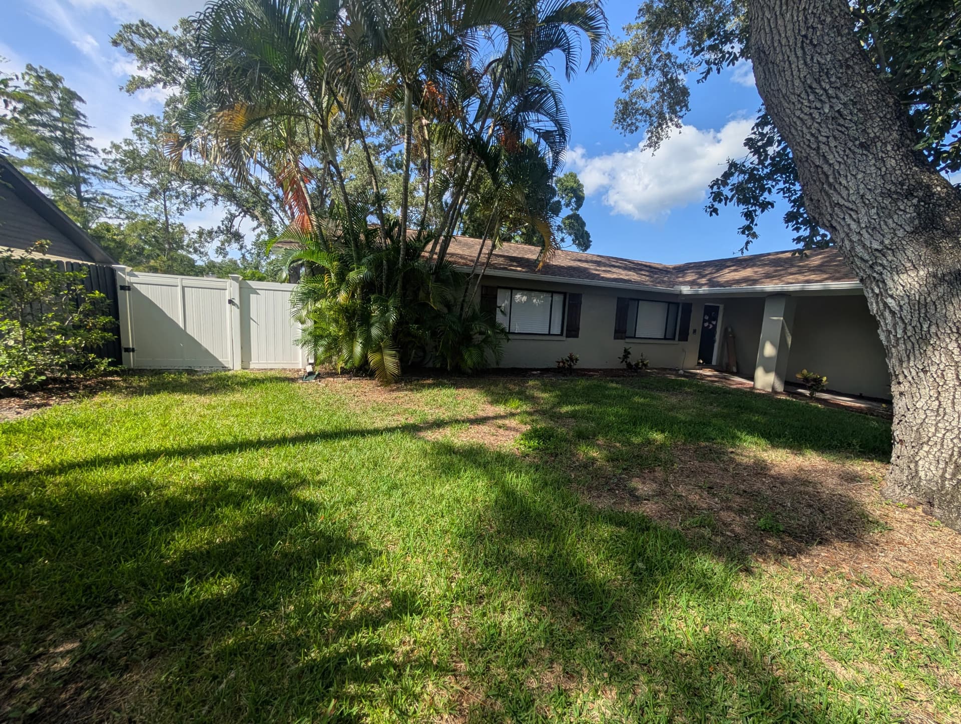 Clearwater Front Yard Gets a Full Landscape Refresh image