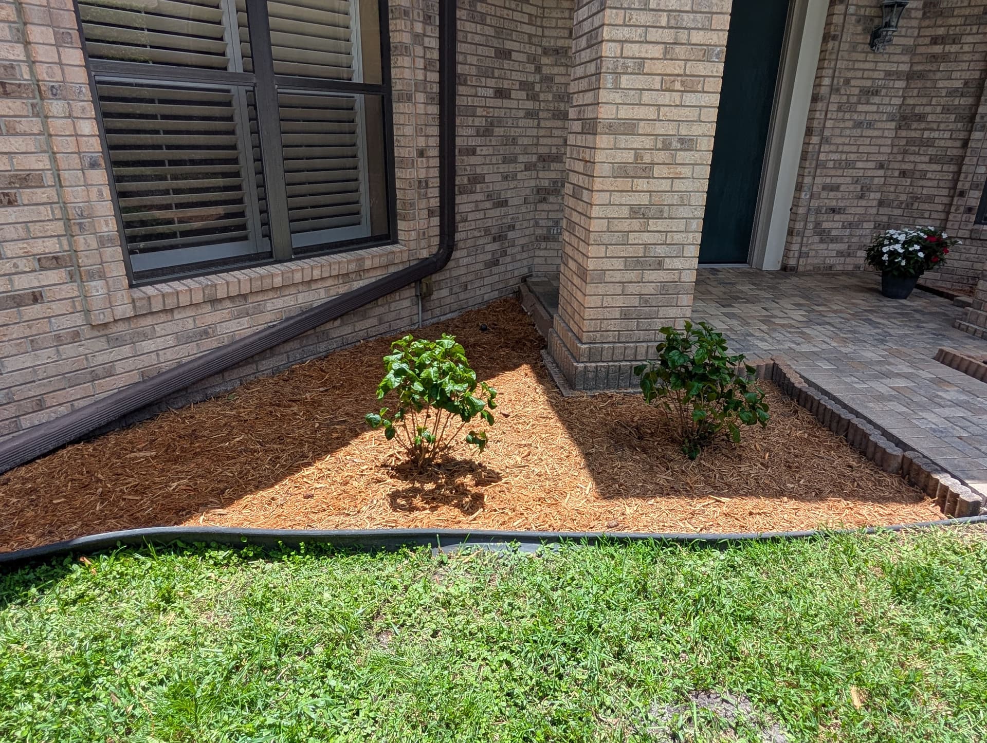 Gallery photos for Carrollwood Landscape Refresh Gets This Home Market-Ready: Image #3
