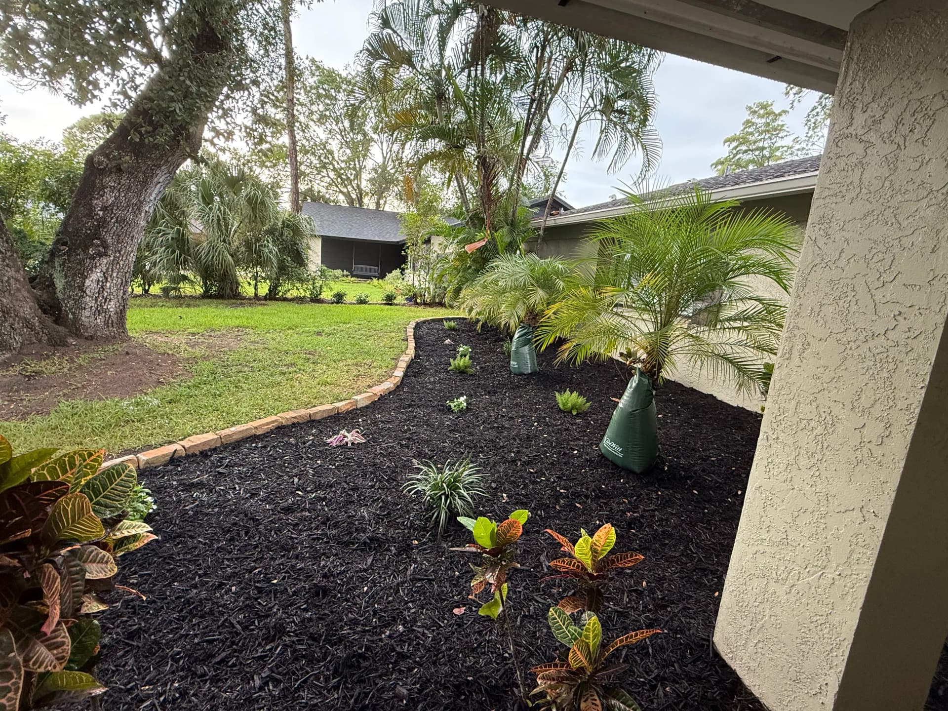 Gallery photos for Clearwater Front Yard Gets a Full Landscape Refresh: Image #3