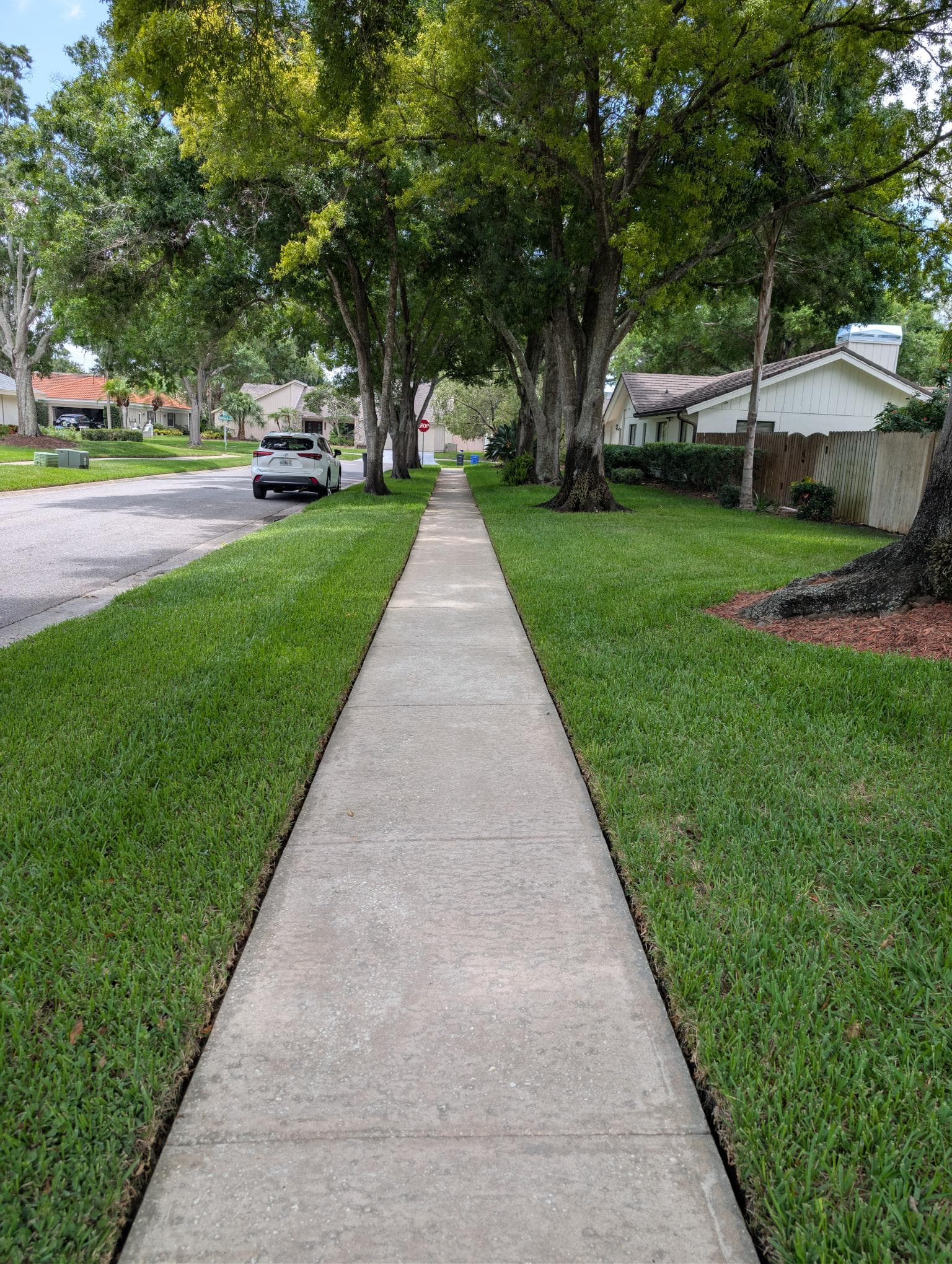 Driveway, Walkway, and Fence Cleaning in Carrollwood FL image